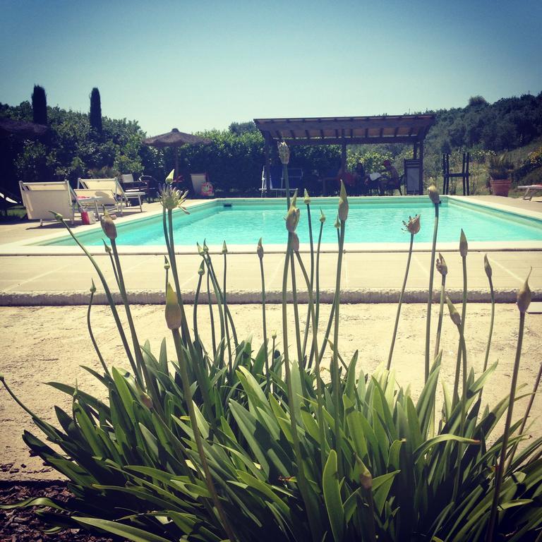 Il Borghetto Andrea Tafi Guest House Lamporecchio Exterior photo
